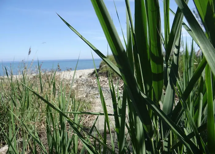 Apartmán Vue Sur Et Montagnes Moriani Plage